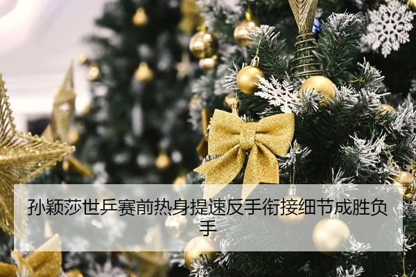孙颖莎世乒赛前热身提速反手衔接细节成胜负手
